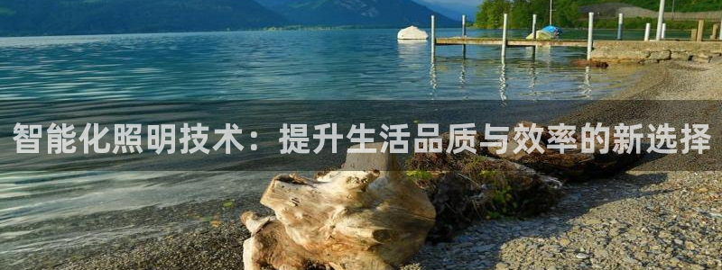 智能化照明技术：提升生活品质与效率的新选择